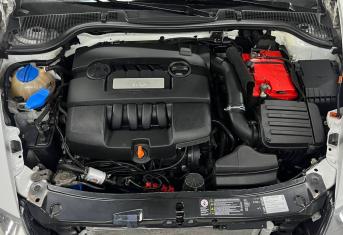 Мойка двигателя Skoda Octavia
