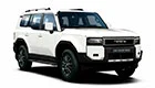 Детейлинг Land Cruiser Prado 250 в Воронеже